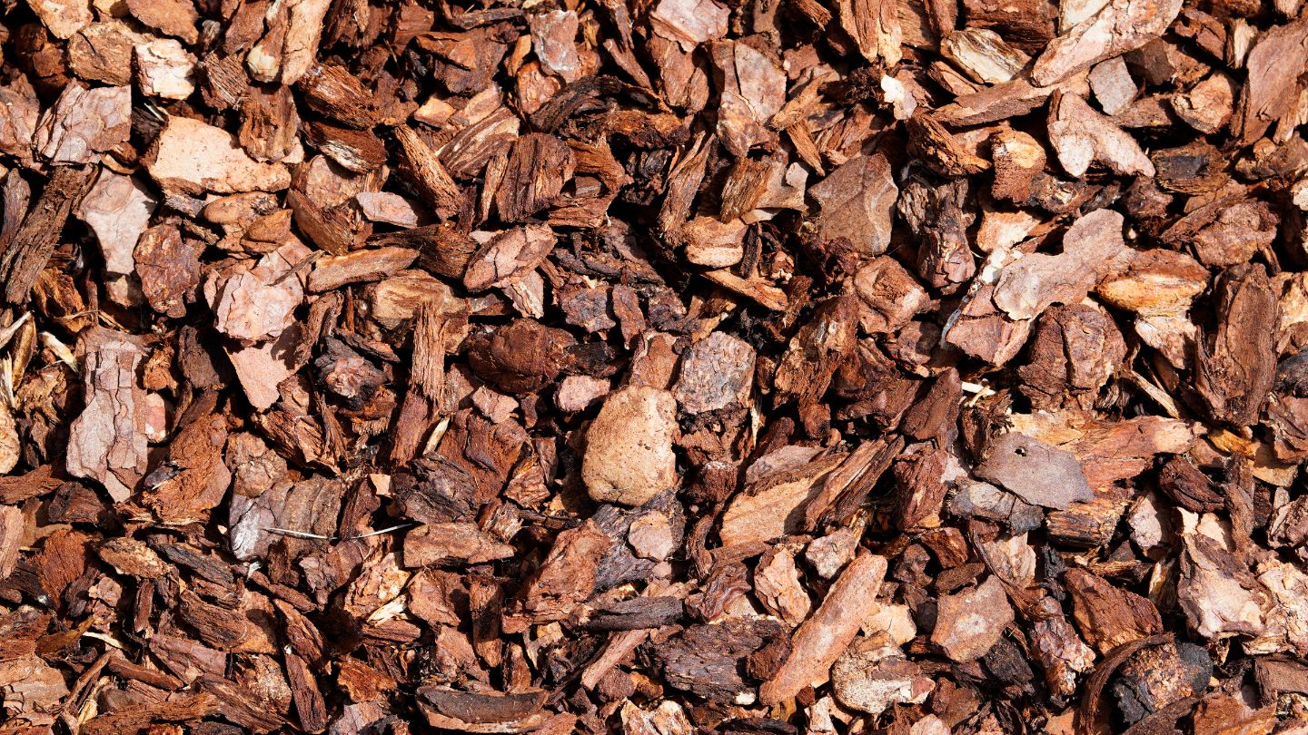 Benefits of Using Bark