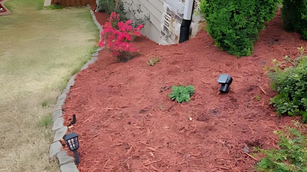 Benefits of Using Pine Needles as Mulch