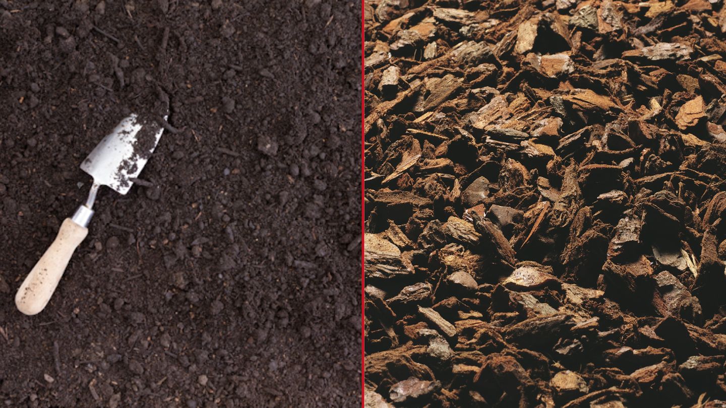 Choosing Between Mulch and Bark