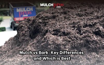 Mulch vs Bark: Key Differences and Which is Best