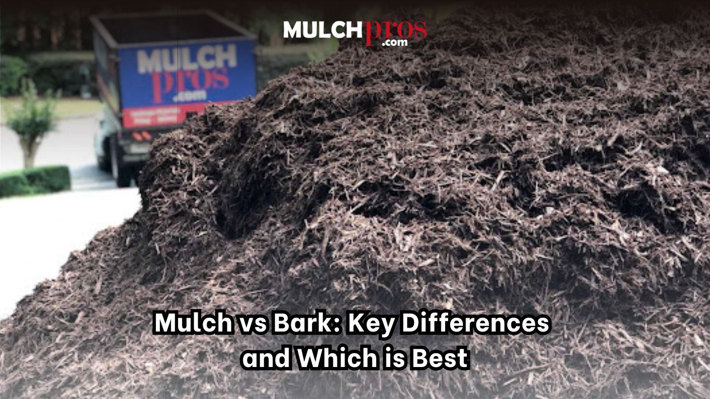 Mulch vs Bark: Key Differences and Which is Best