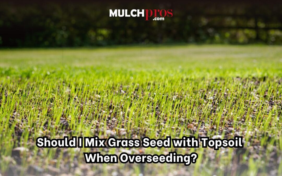 Should I Mix Grass Seed with Topsoil When Overseeding?