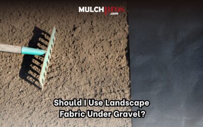 Should I Use Landscape Fabric Under Gravel?