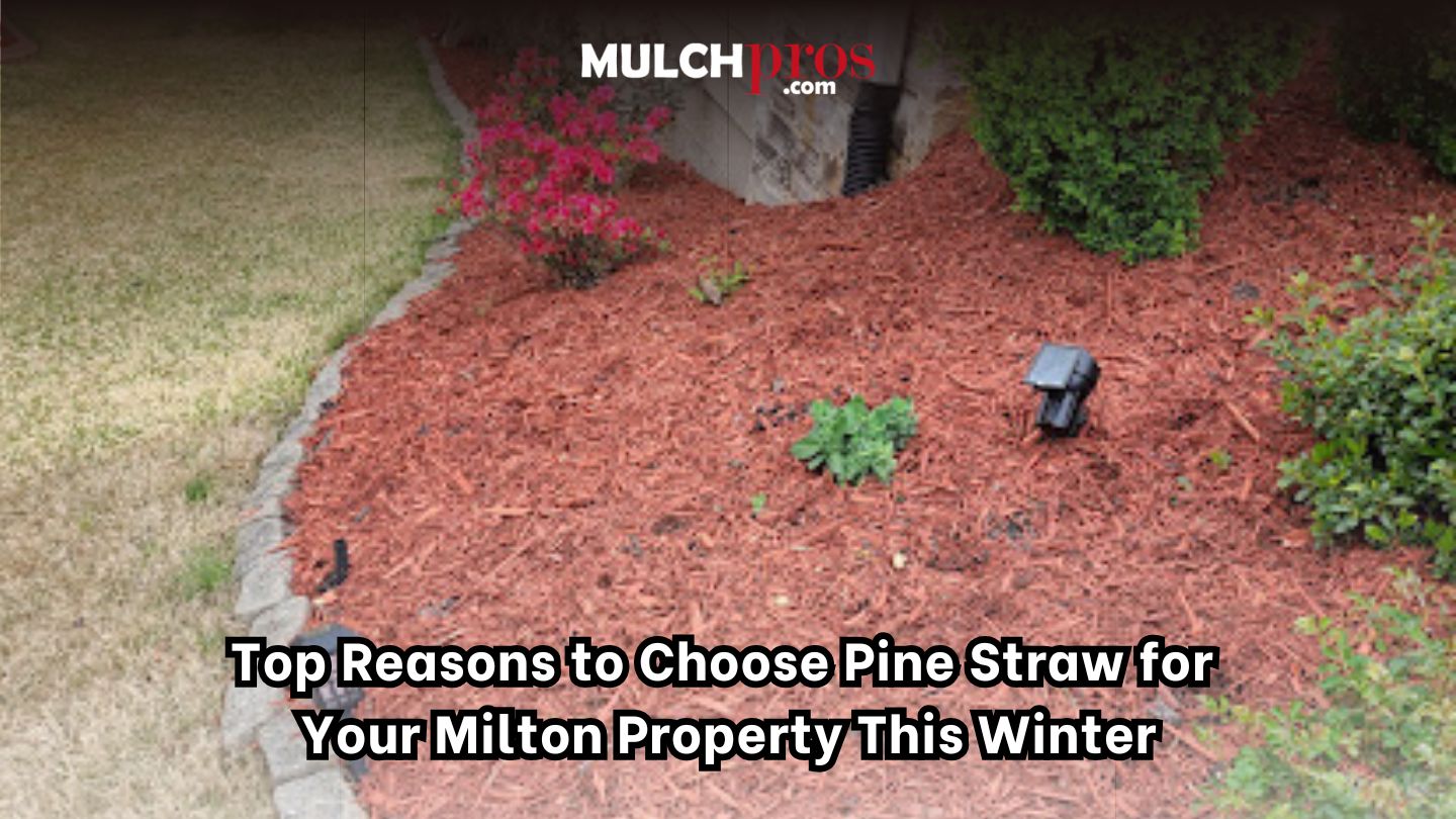 Top Reasons to Choose Pine Straw for Your Milton Property This Winter