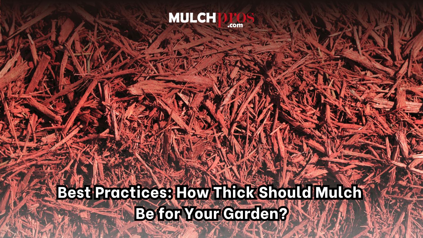 Best Practices: How Thick Should Mulch Be for Your Garden?