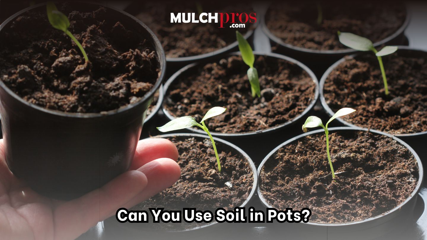 Can You Use Soil in Pots?