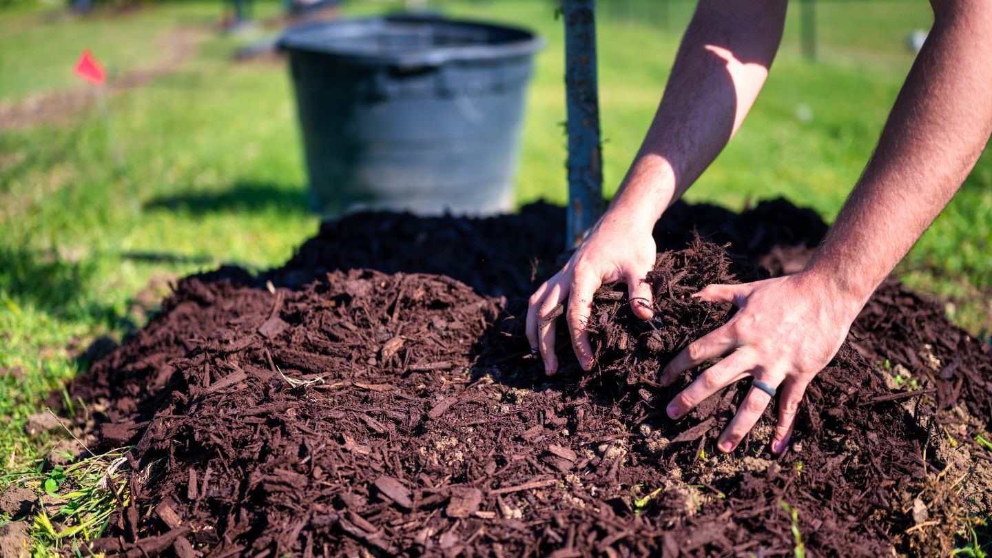 How Much Mulch to Buy