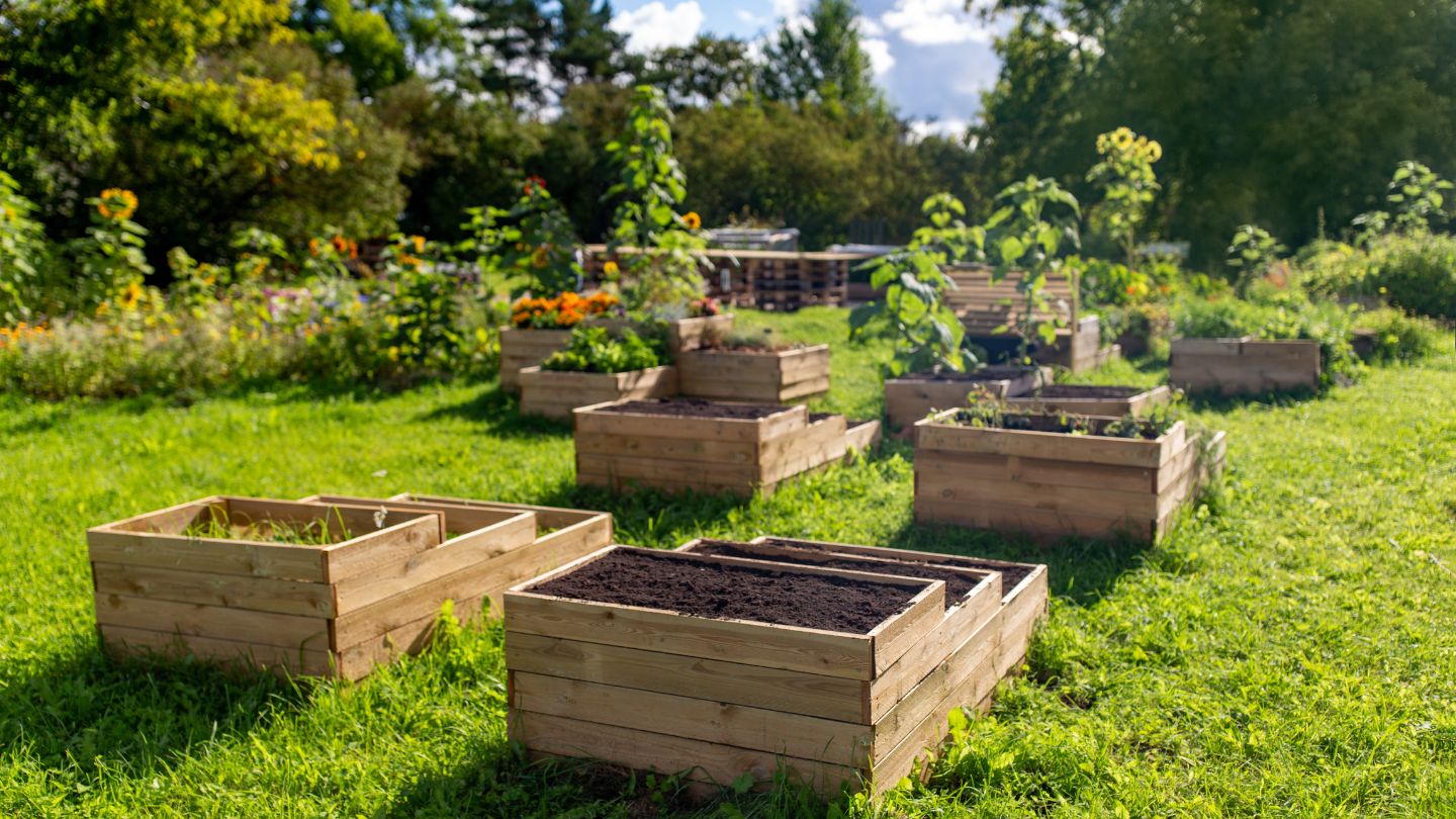 How to Properly Use Topsoil in Garden Beds