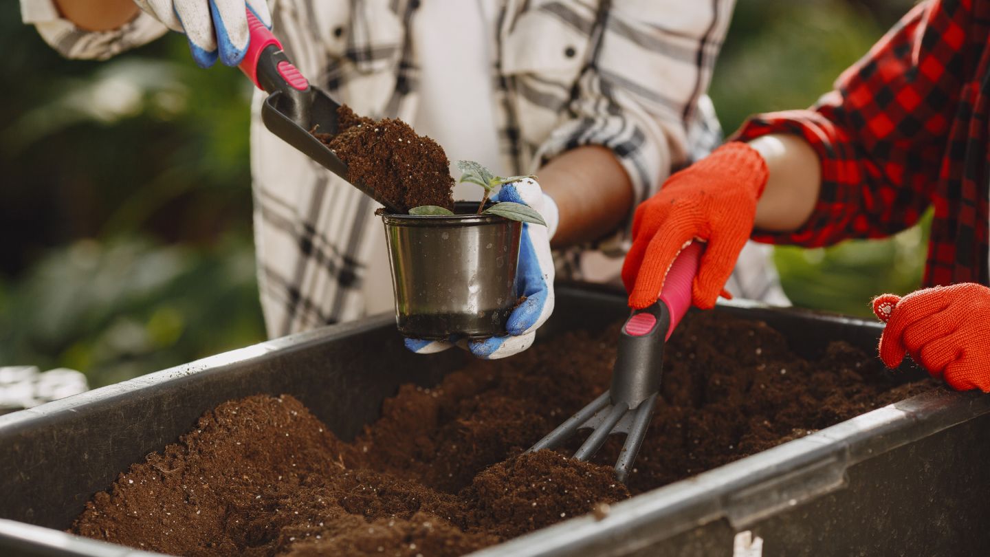 Topsoil vs. Potting Soil