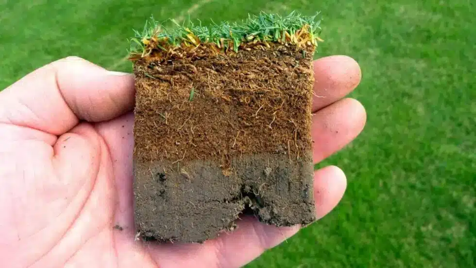 Hand Holding a Soil Sample