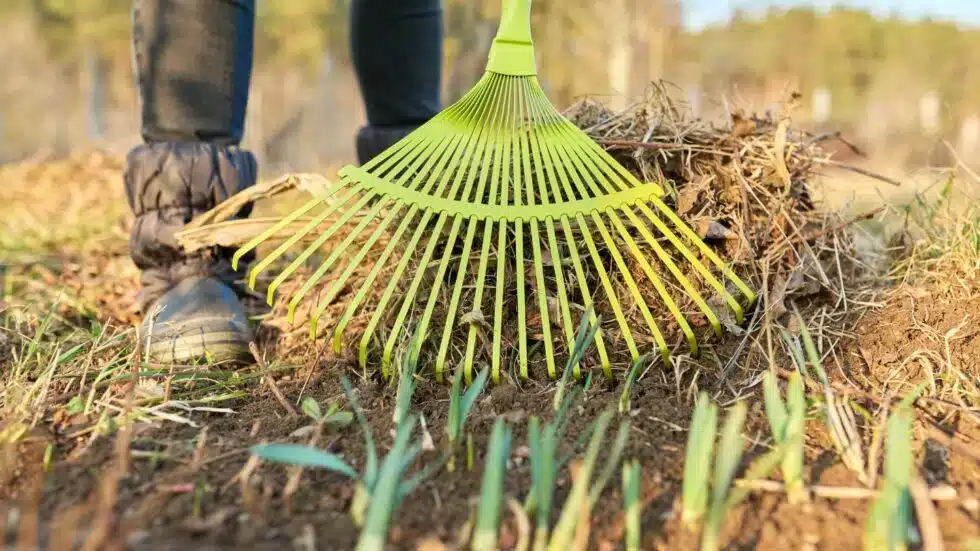 Person Raking Soil in Garden