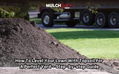 How to Level Your Lawn with Topsoil for a Perfect Yard – Step-by-Step Guide