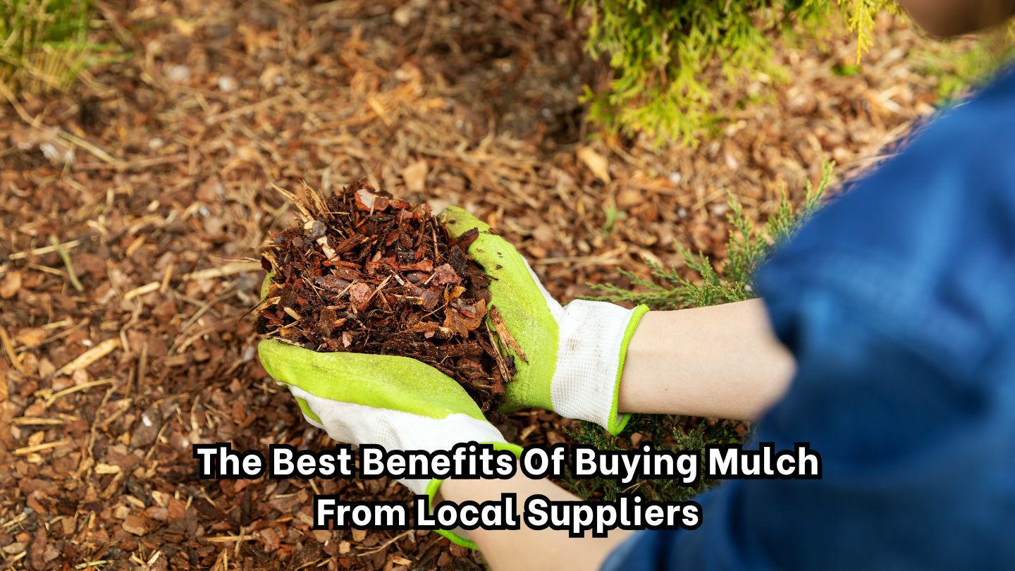The Best Benefits of Buying Mulch from Local Suppliers