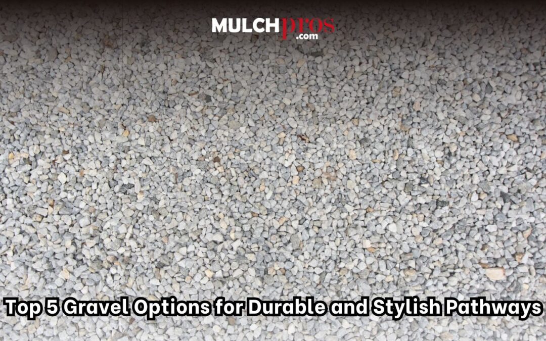 Top 5 Gravel Options for Durable and Stylish Pathways