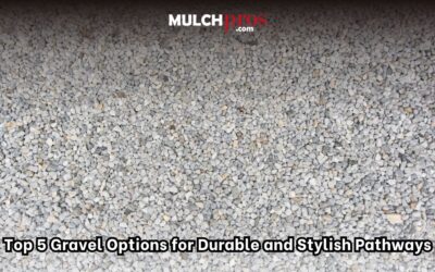 Top 5 Gravel Options for Durable and Stylish Pathways
