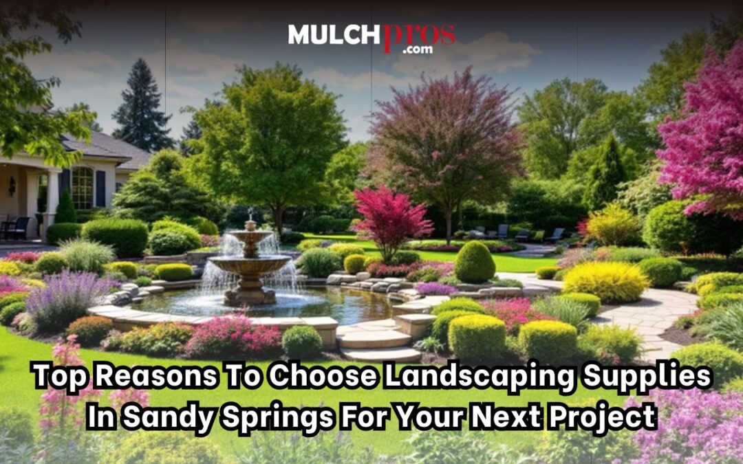 Top Reasons to Choose Landscaping Supplies in Sandy Springs for Your Next Project