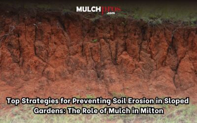 Top Strategies for Preventing Soil Erosion in Sloped Gardens: The Role of Mulch in Milton