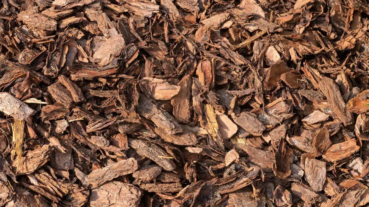 Close-Up of Bark Mulch