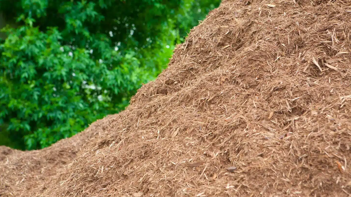 Pile of Fresh Mulch