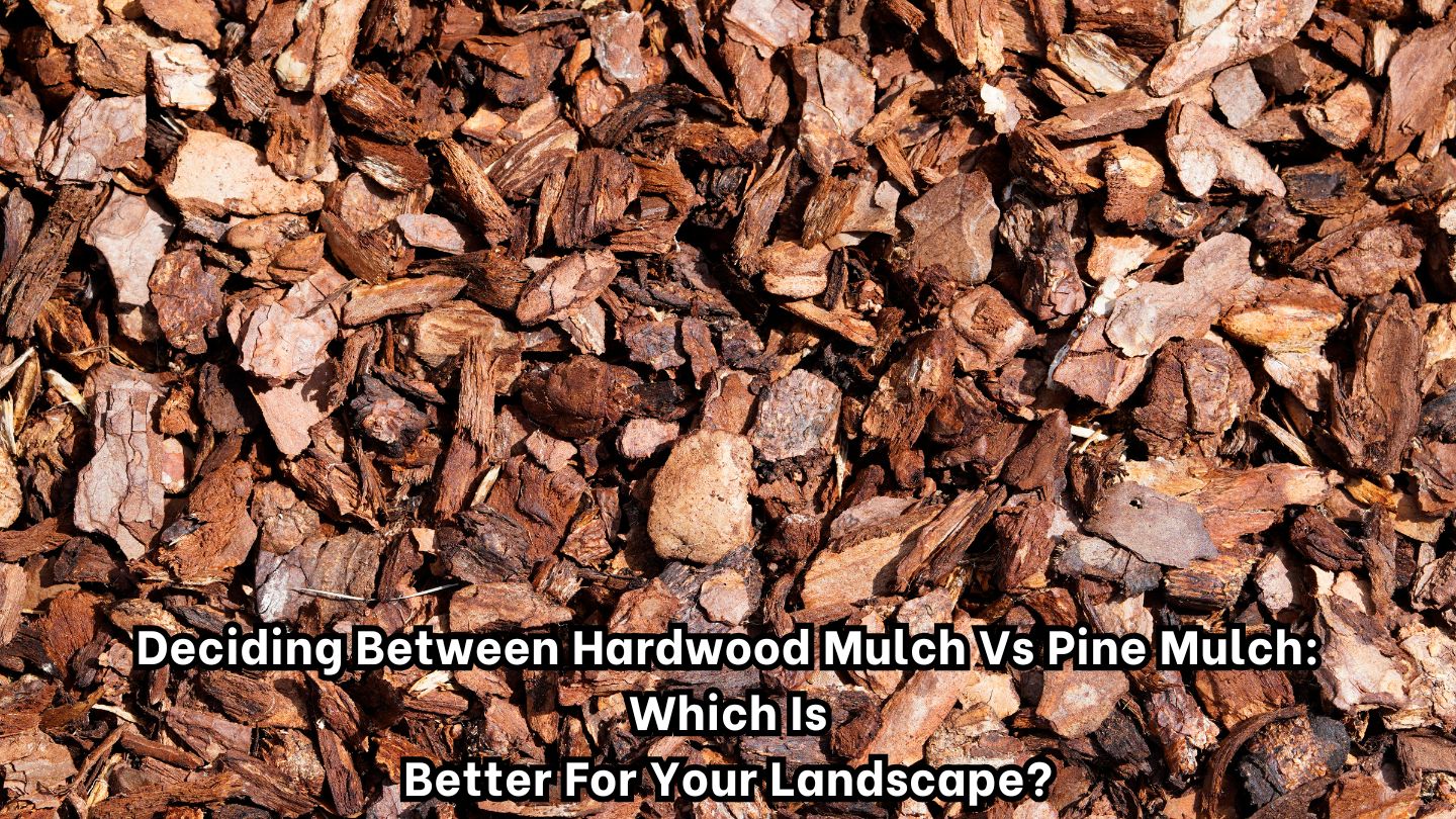 Deciding Between Hardwood Mulch vs Pine Mulch: Which Is Better for Your Landscape?