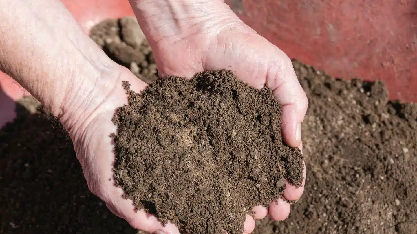 Hands Holding Rich Soil
