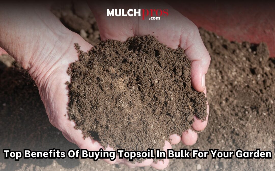 Top Benefits of Buying Topsoil in Bulk for Your Garden