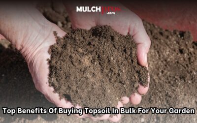 Top Benefits of Buying Topsoil in Bulk for Your Garden