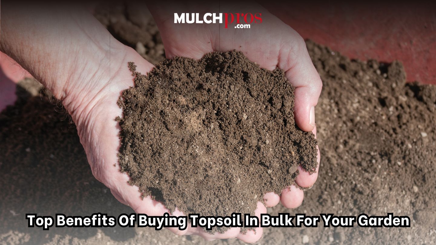 Top Benefits of Buying Topsoil in Bulk for Your Garden