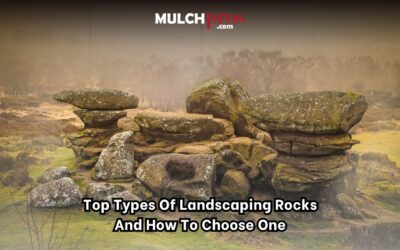 Top Types of Landscaping Rocks and How to Choose One