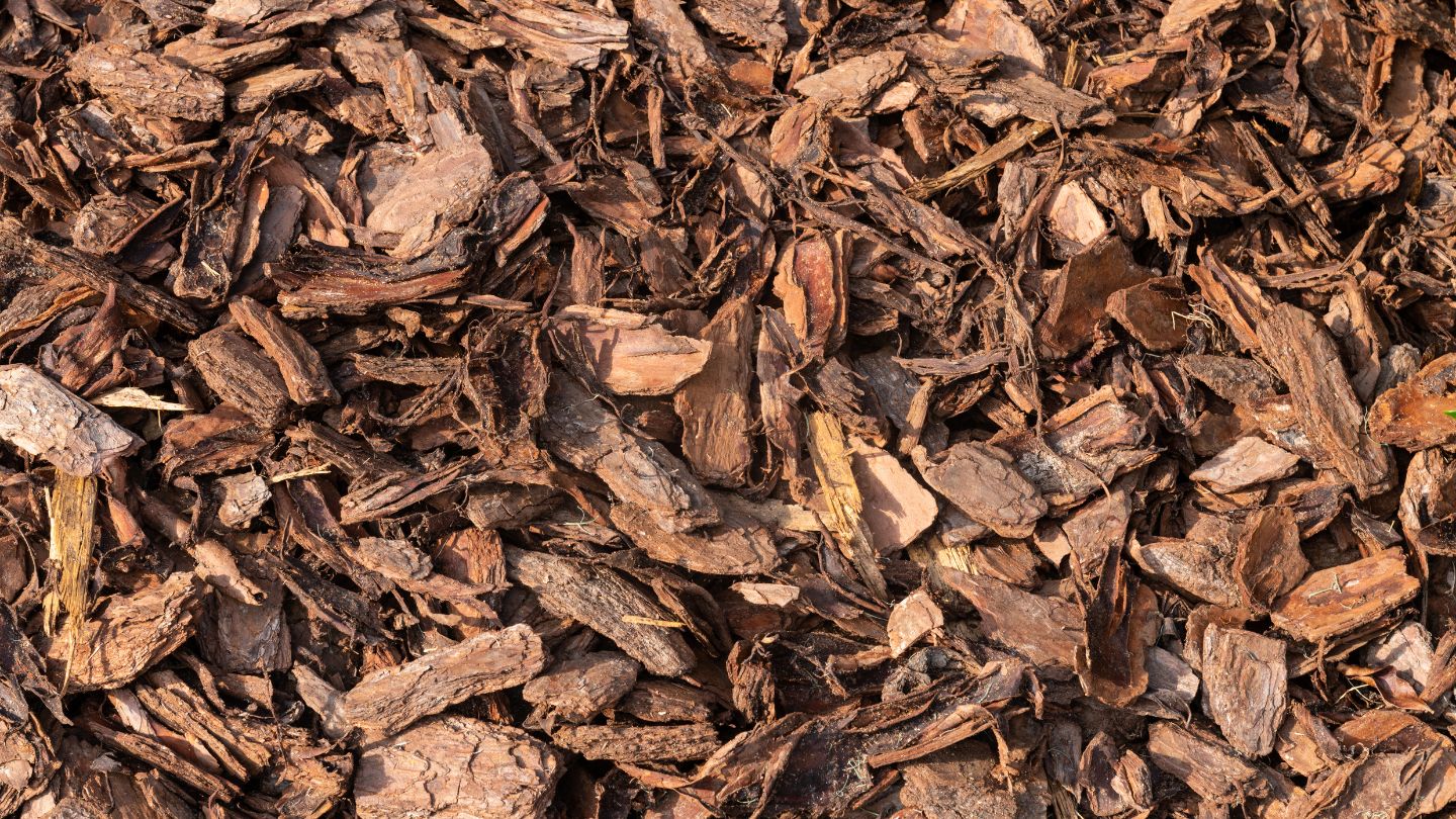 What is Pine Mulch?