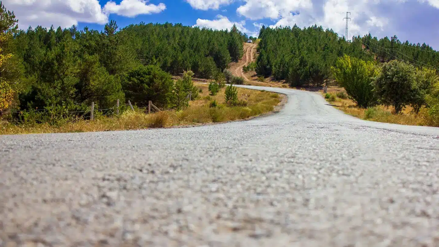 Winding Gravel Road Through Forest