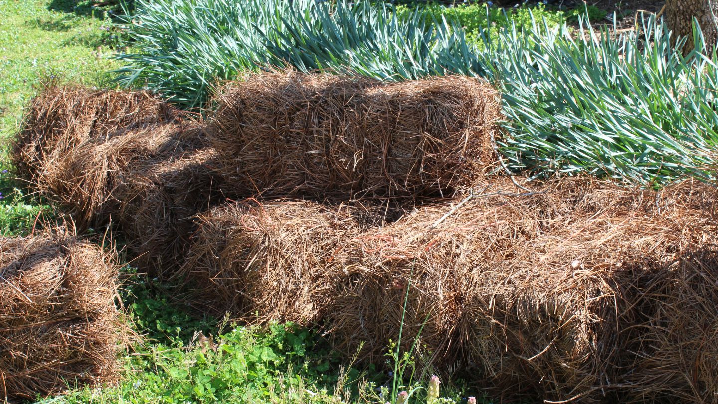 key differences between bales and rolls