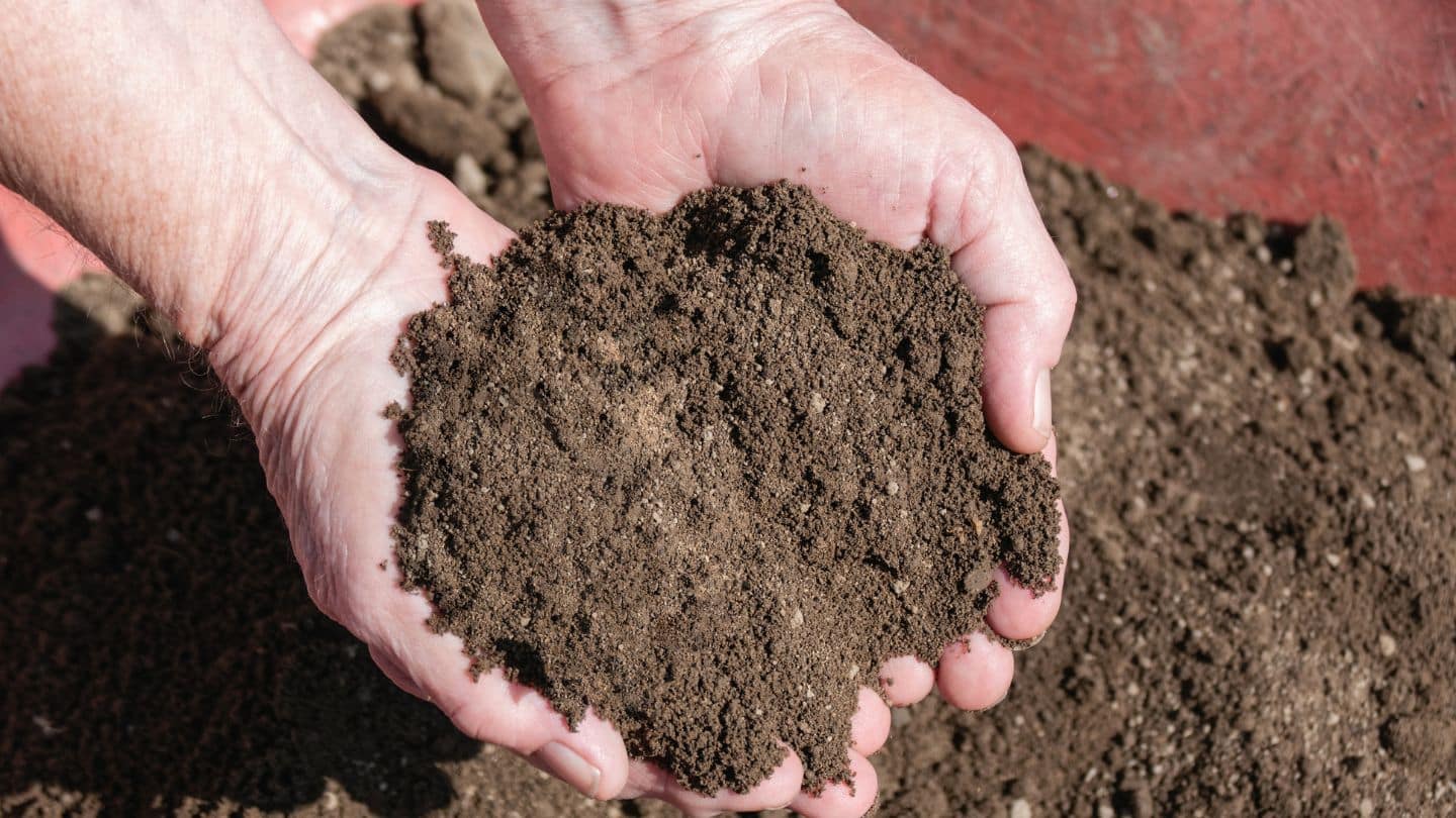 receiving and spreading topsoil