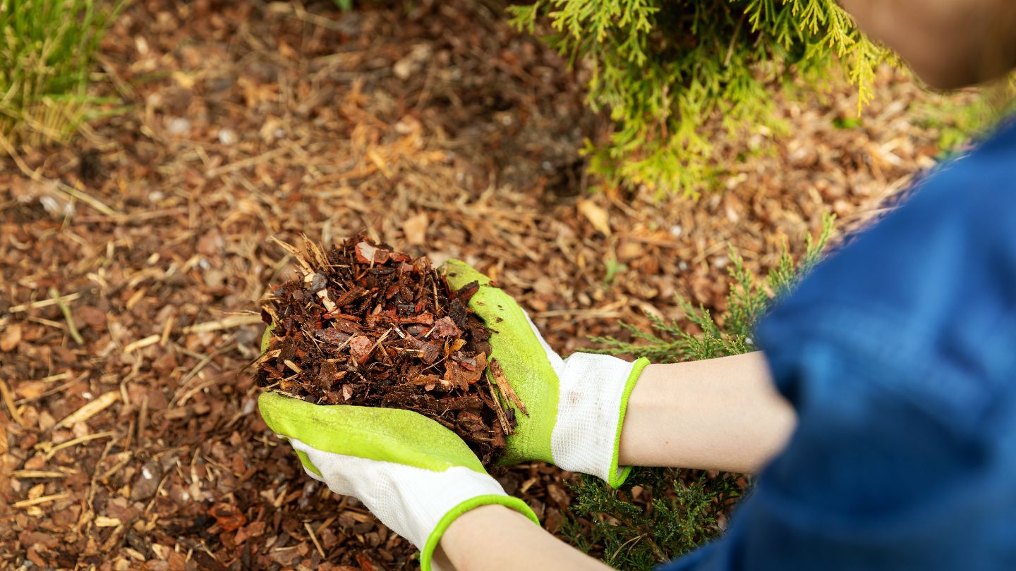 Advantages of Layering Mulch on Top of Pine Straw
