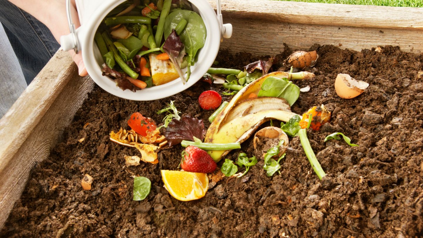 Composting: Turn Waste into Nutrients