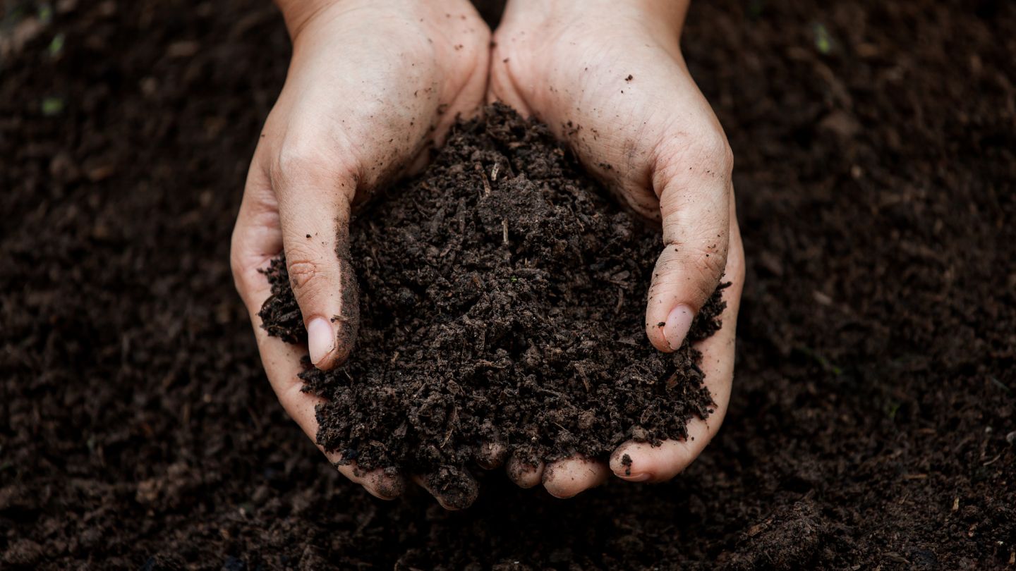 What About Long-Term Soil Health?