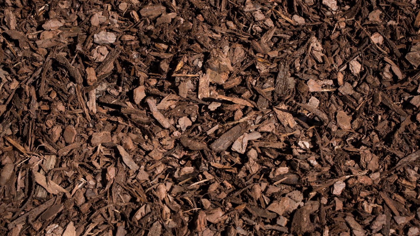 When Not to Reuse Mulch