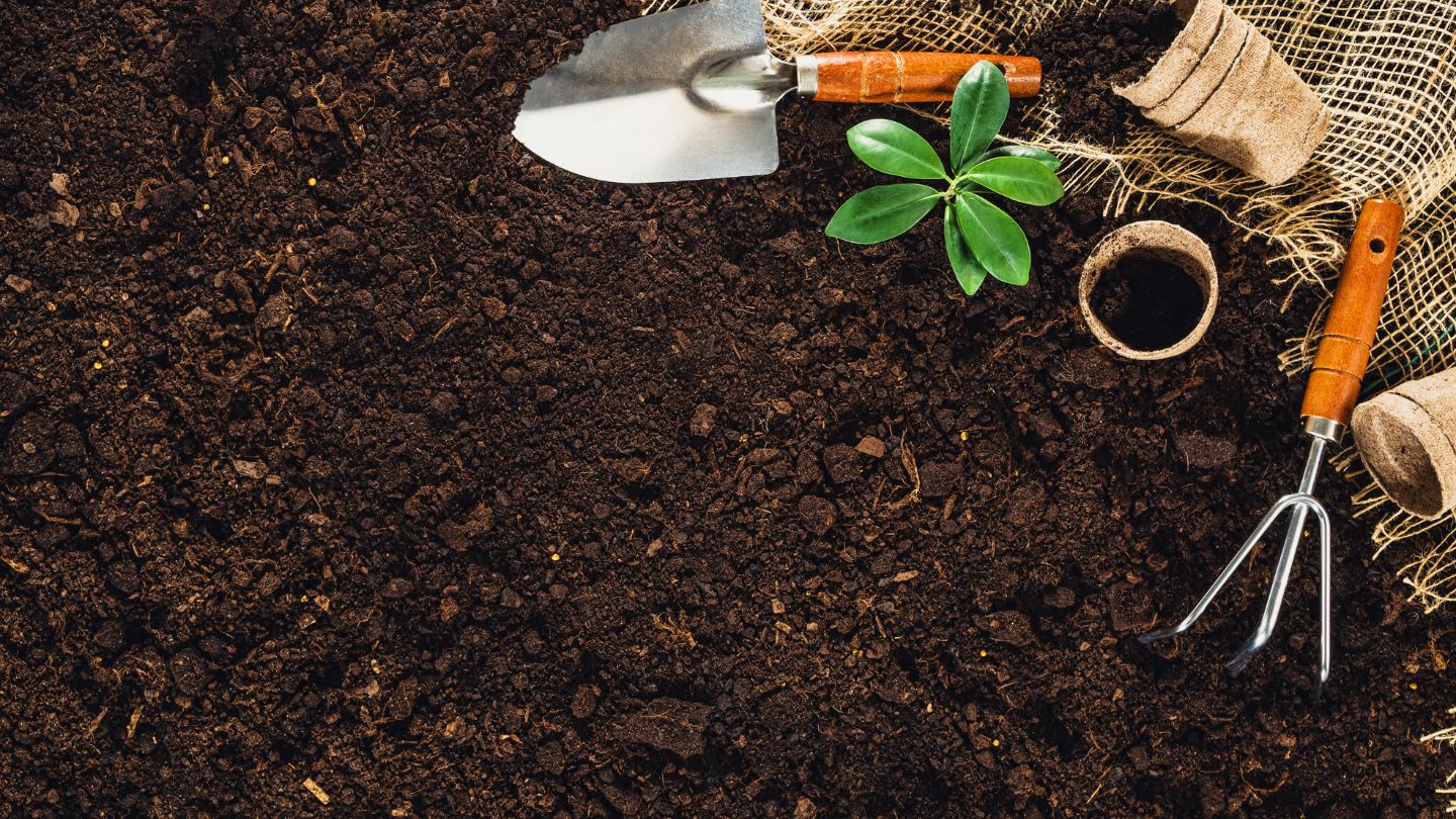 Differences Between Topsoil, Garden Soil, and Potting Soil