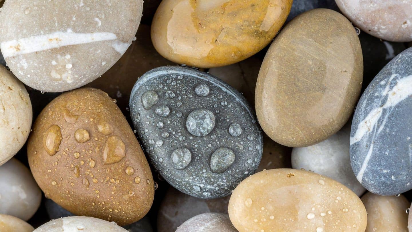 Aesthetic Design and Curb Appeal Impact