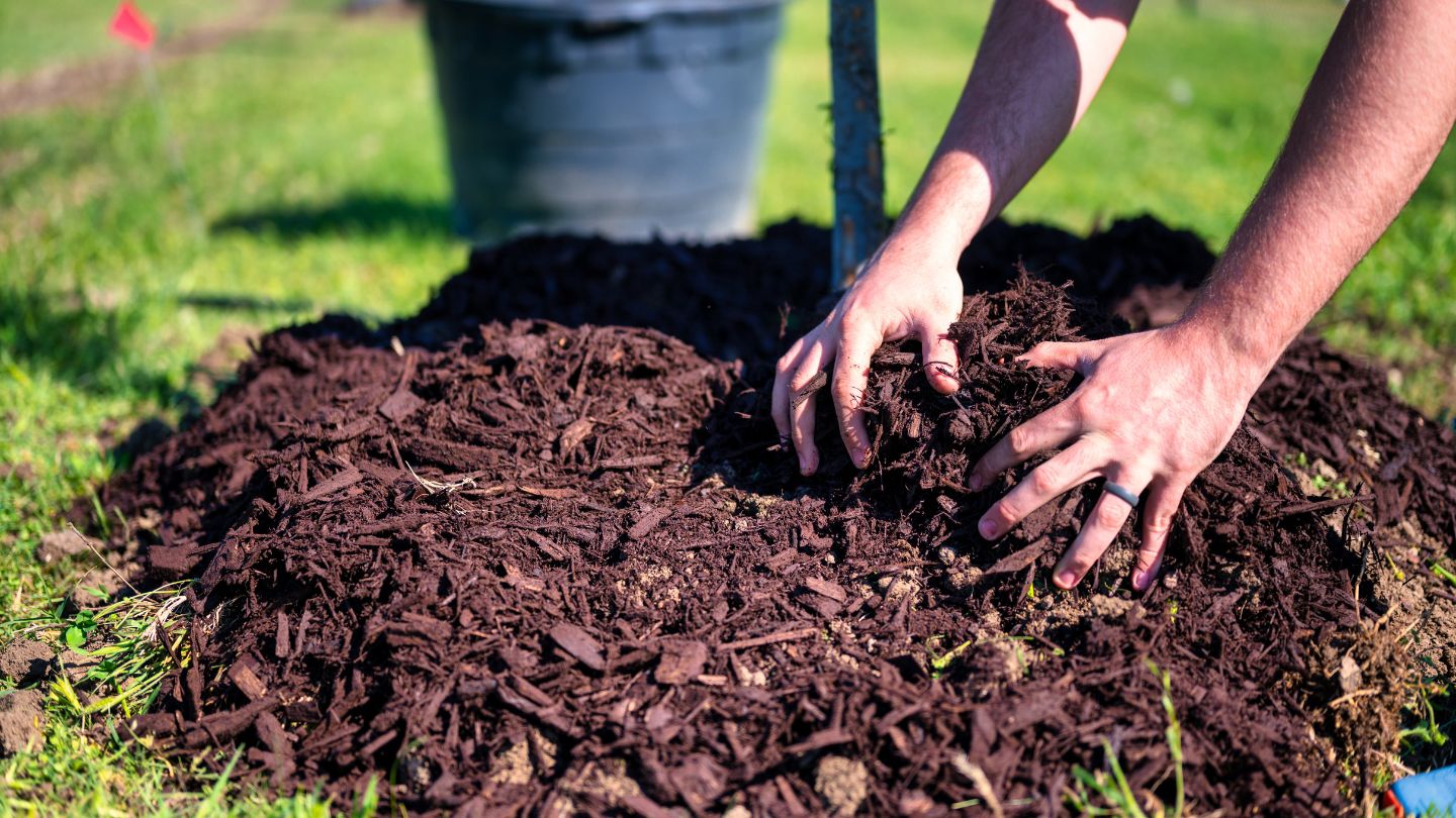 Common Re-Mulching Mistakes to Avoid