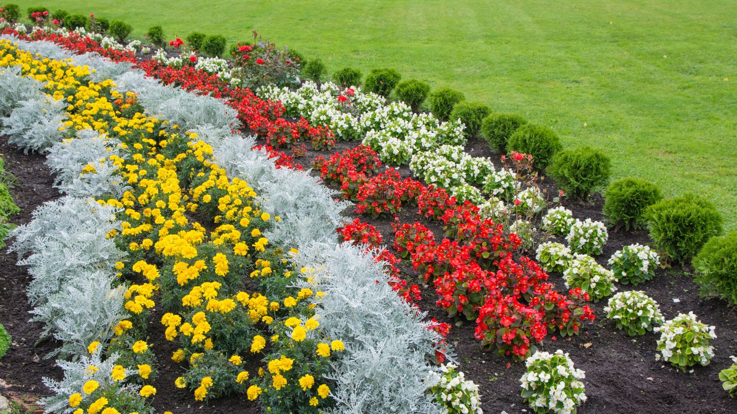 Types of Mulch for Flowerbeds