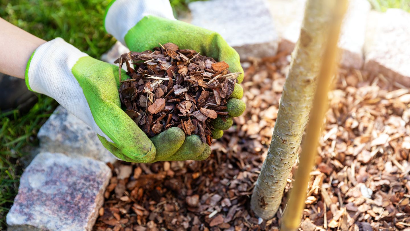 When to Apply Mulch to Flowerbeds