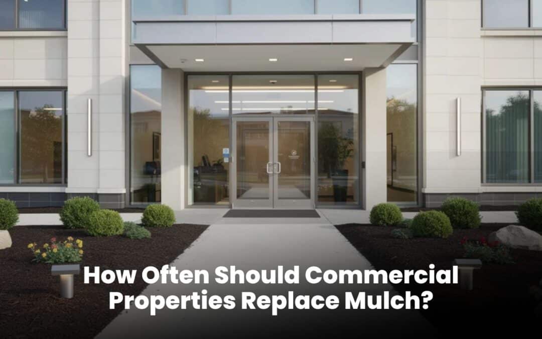 How Often Should Commercial Properties Replace Mulch?