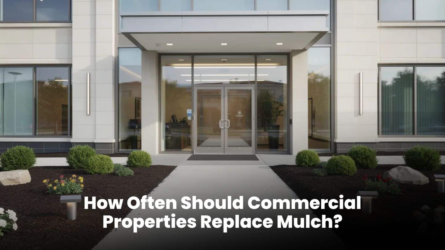 How Often Should Commercial Properties Replace Mulch?