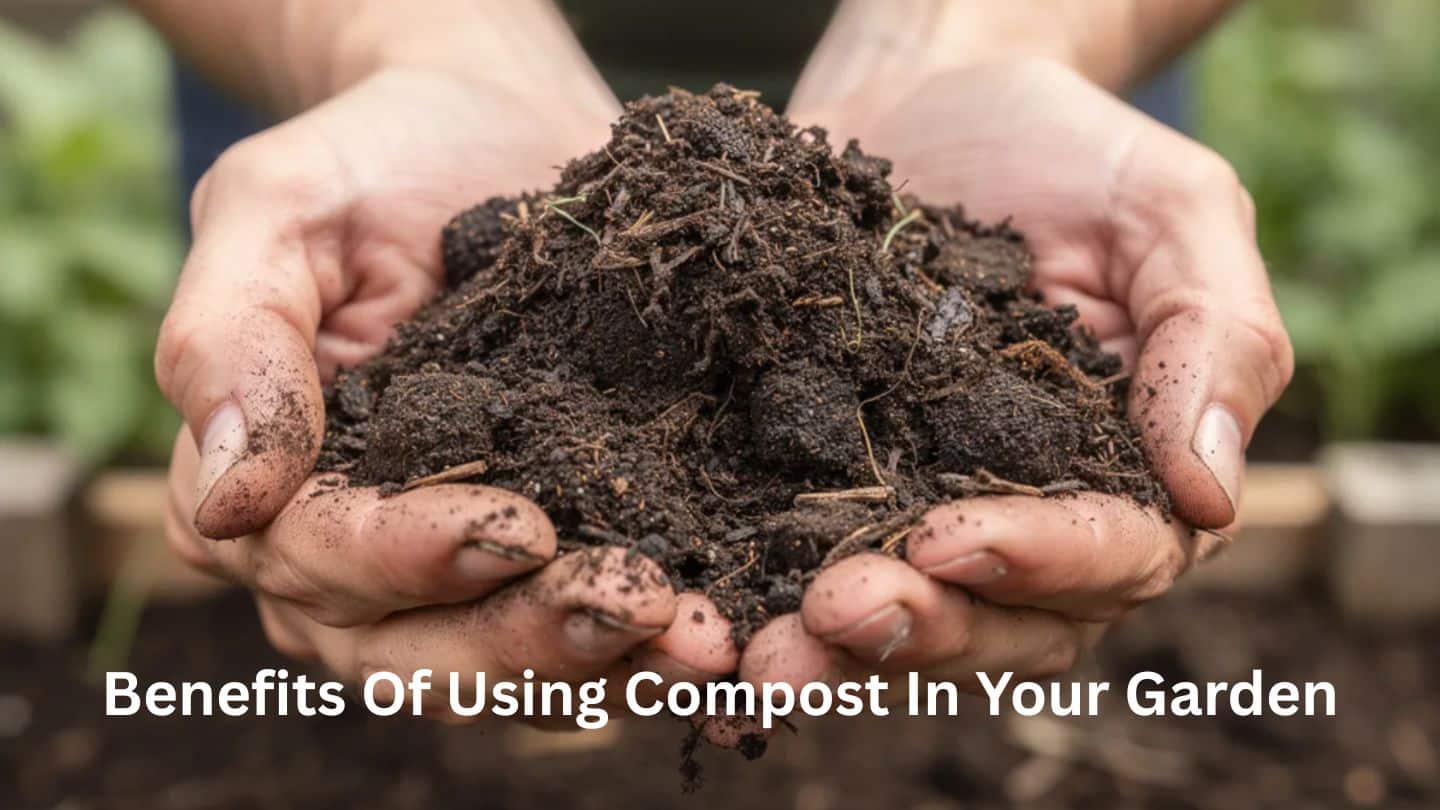 Benefits of Using Compost in Your Garden