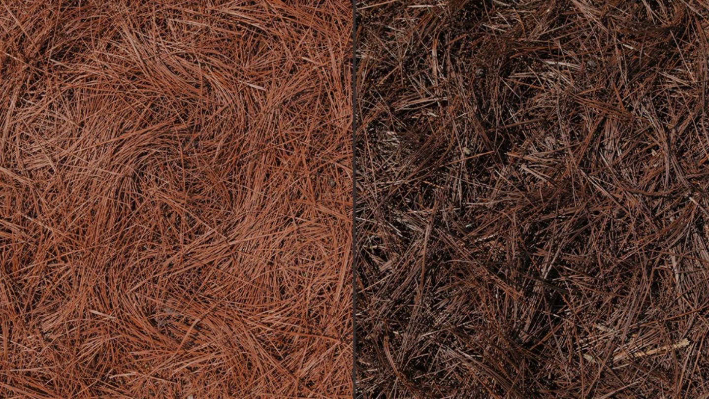 Cost, Demand, and Availability