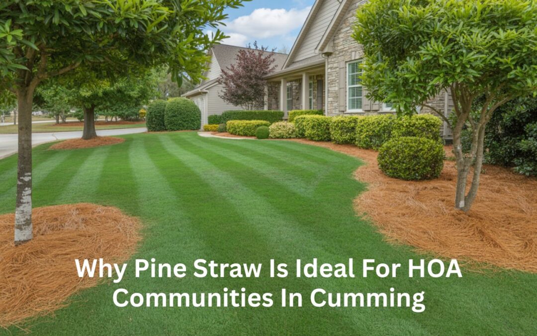 Why Pine Straw Is Ideal for HOA Communities in Cumming