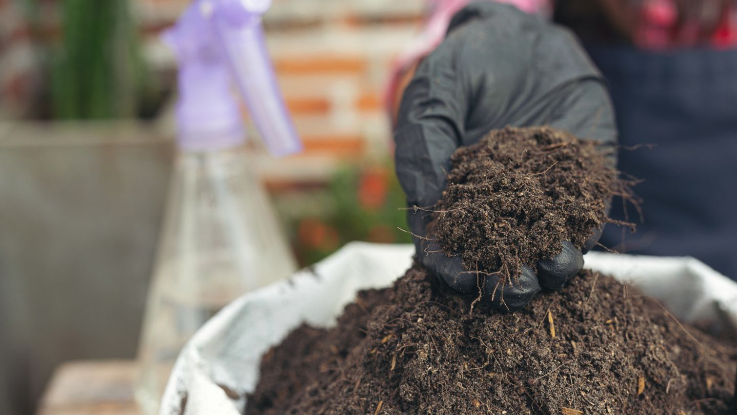 Common Mistakes Milton Homeowners Make with Bagged Mulch