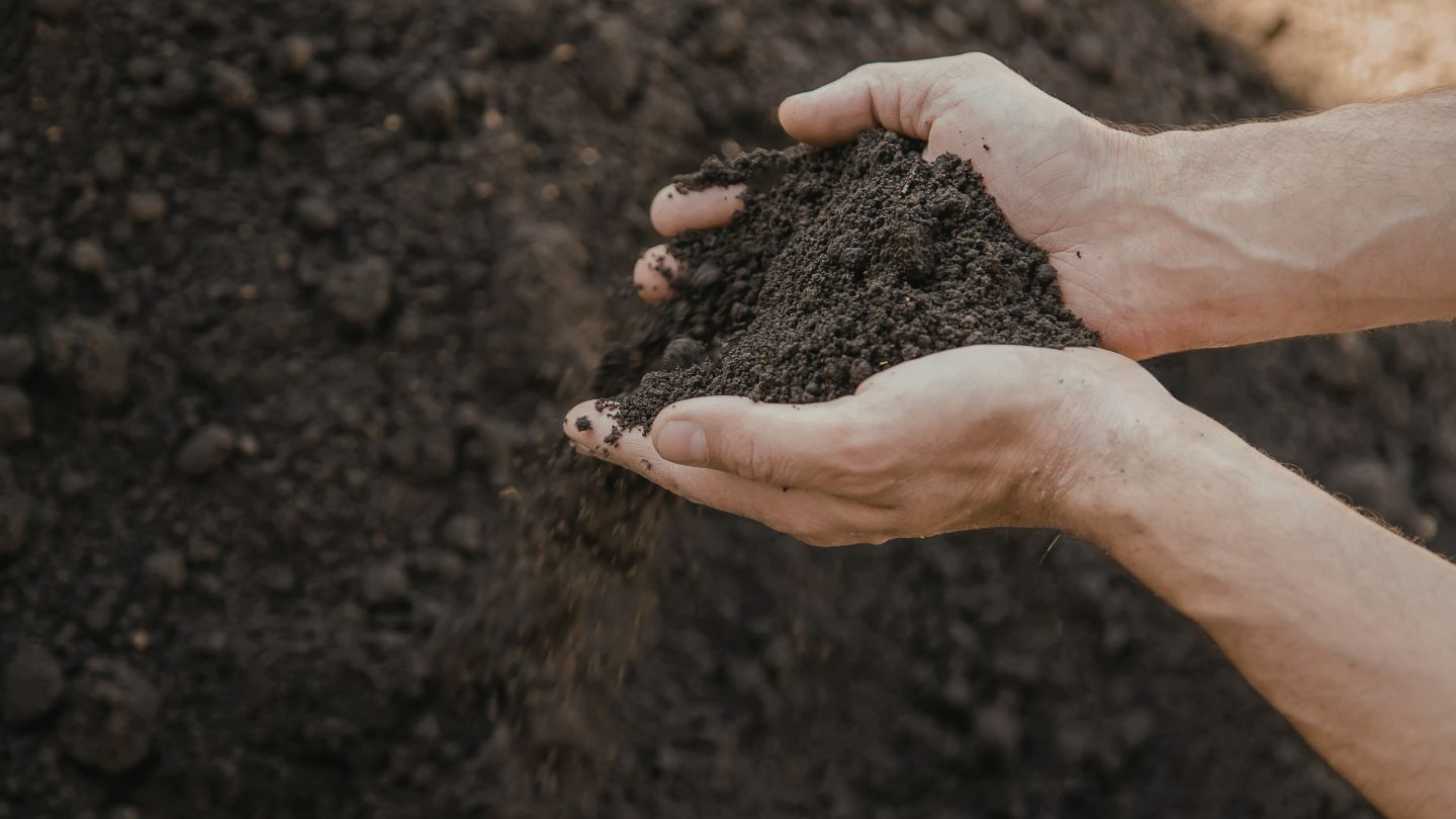 How Much Topsoil You Need and Application Methods