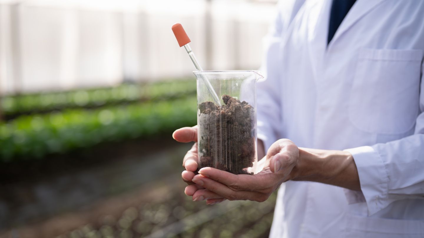 Step-by-Step Guide to Applying Topdressing Blend